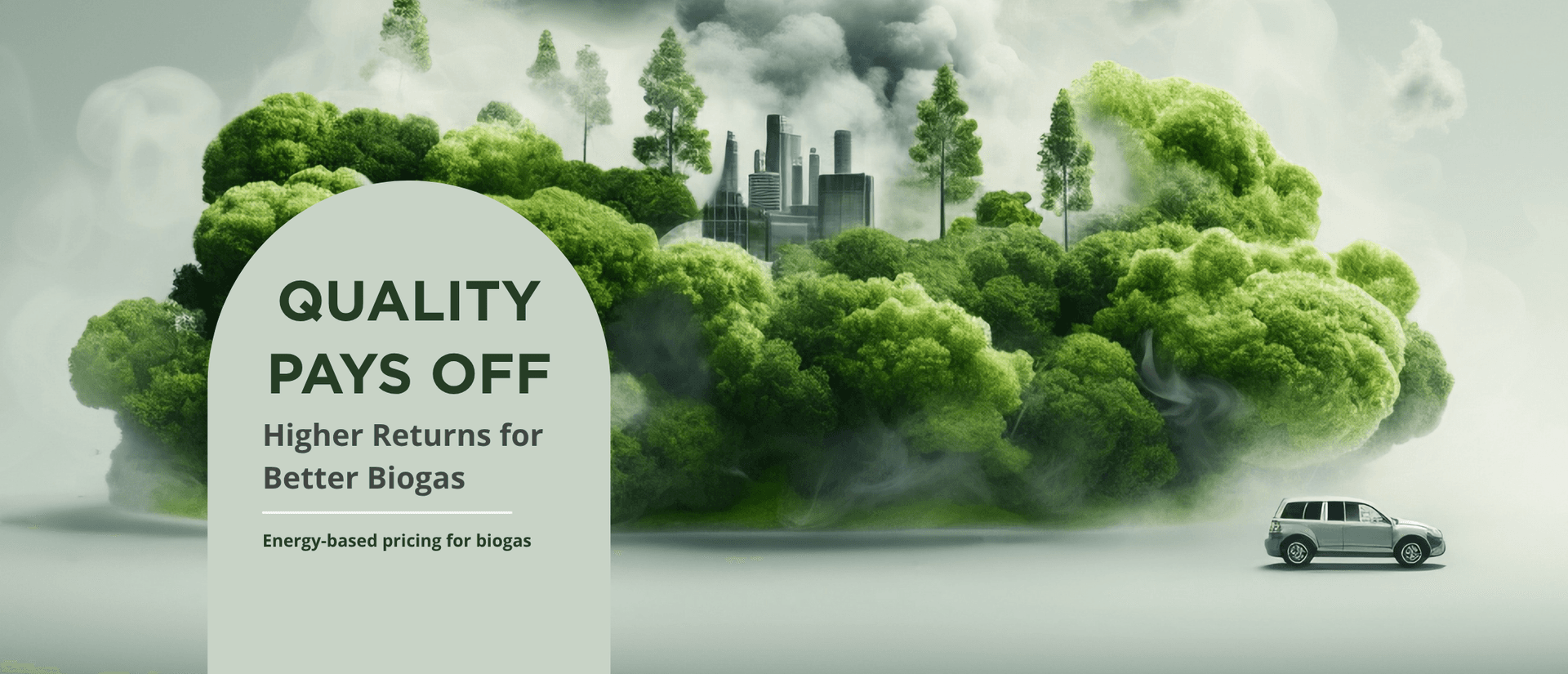 Renewable Energy Revolution