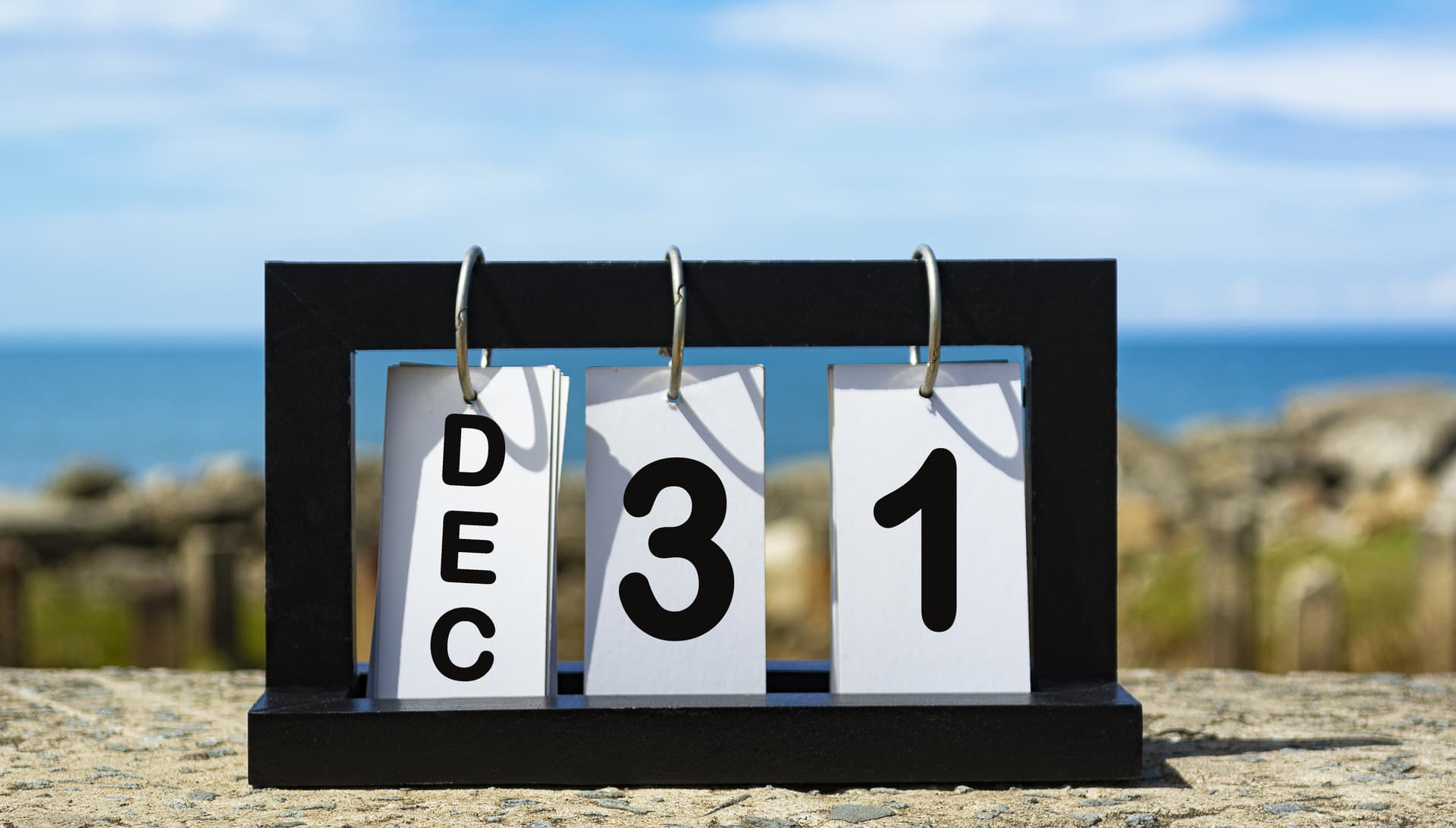 Why Timing Matters: Locking Your Plant Before 31st December