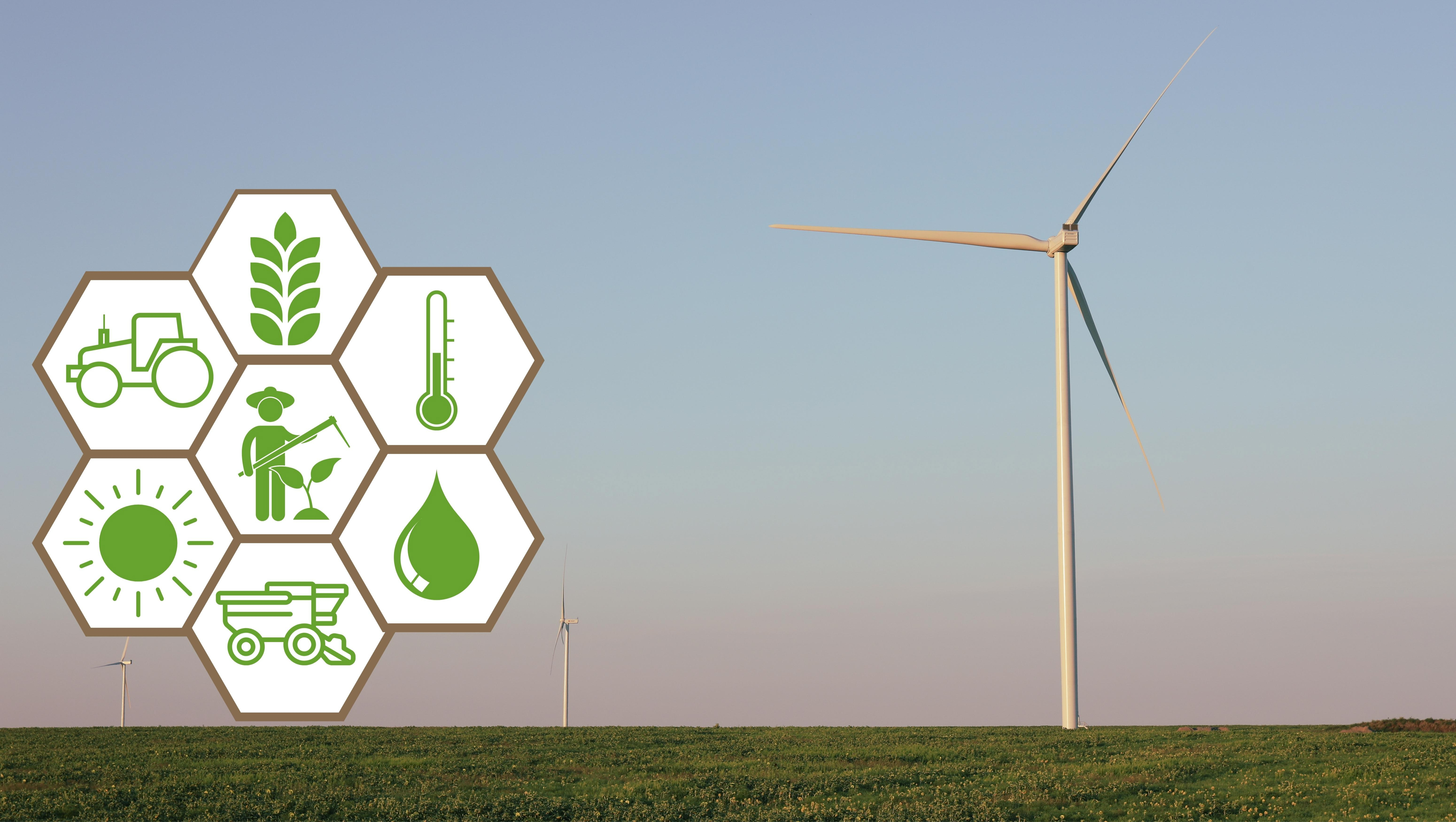 Innovative Feedstocks Driving Green Energy