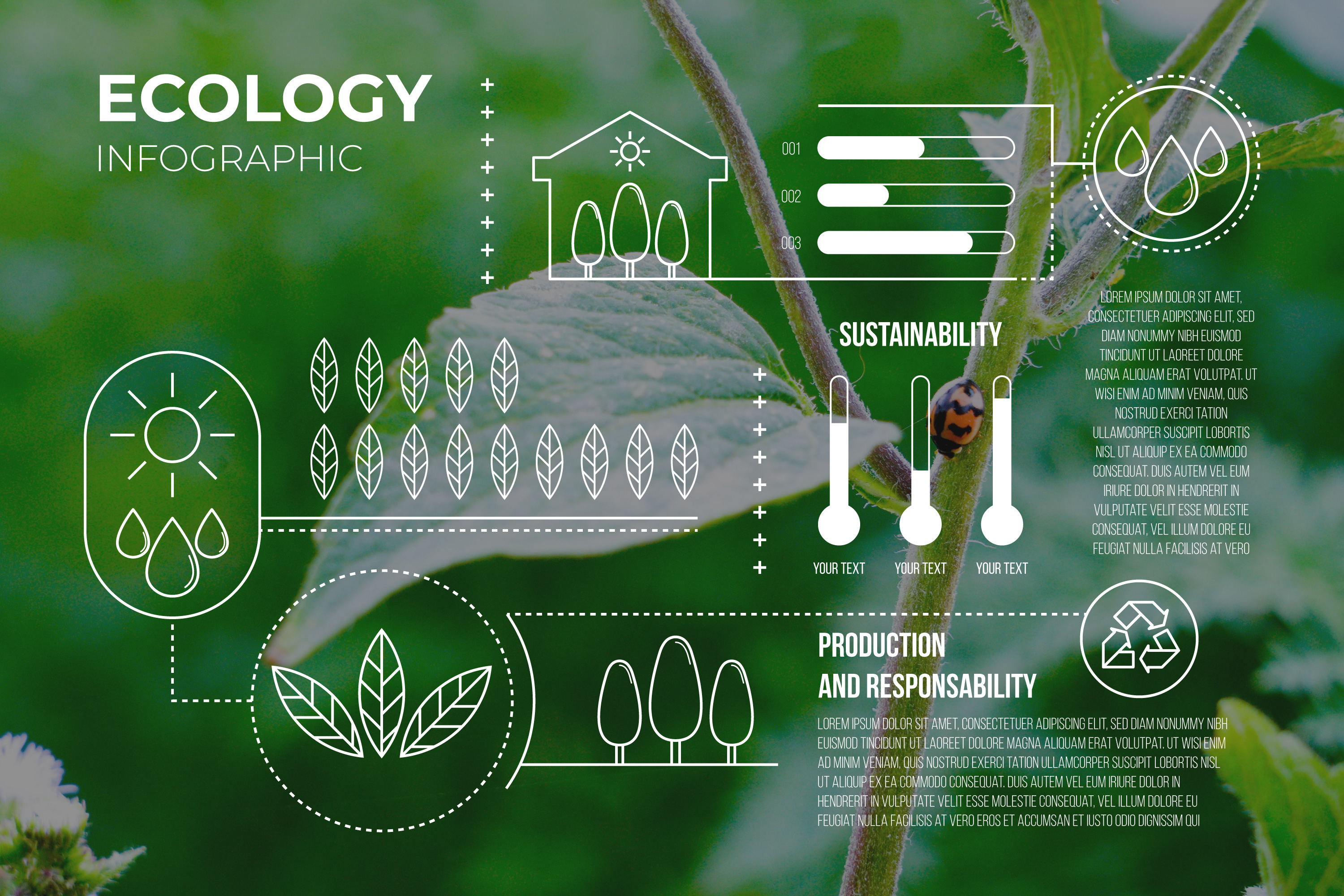 Emerging Markets for Biofuel Innovations