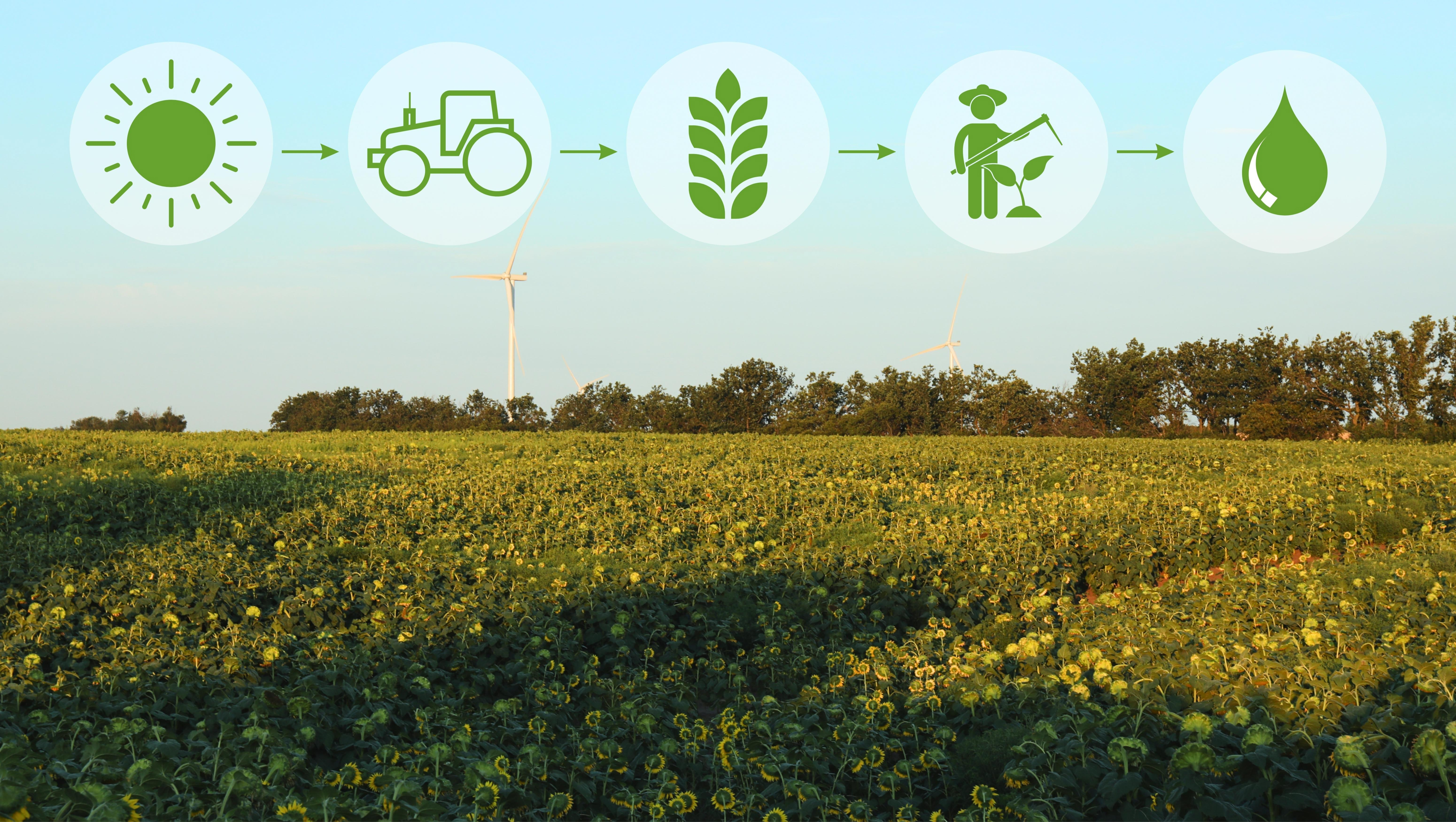 AI Integration in Biofuel Processing