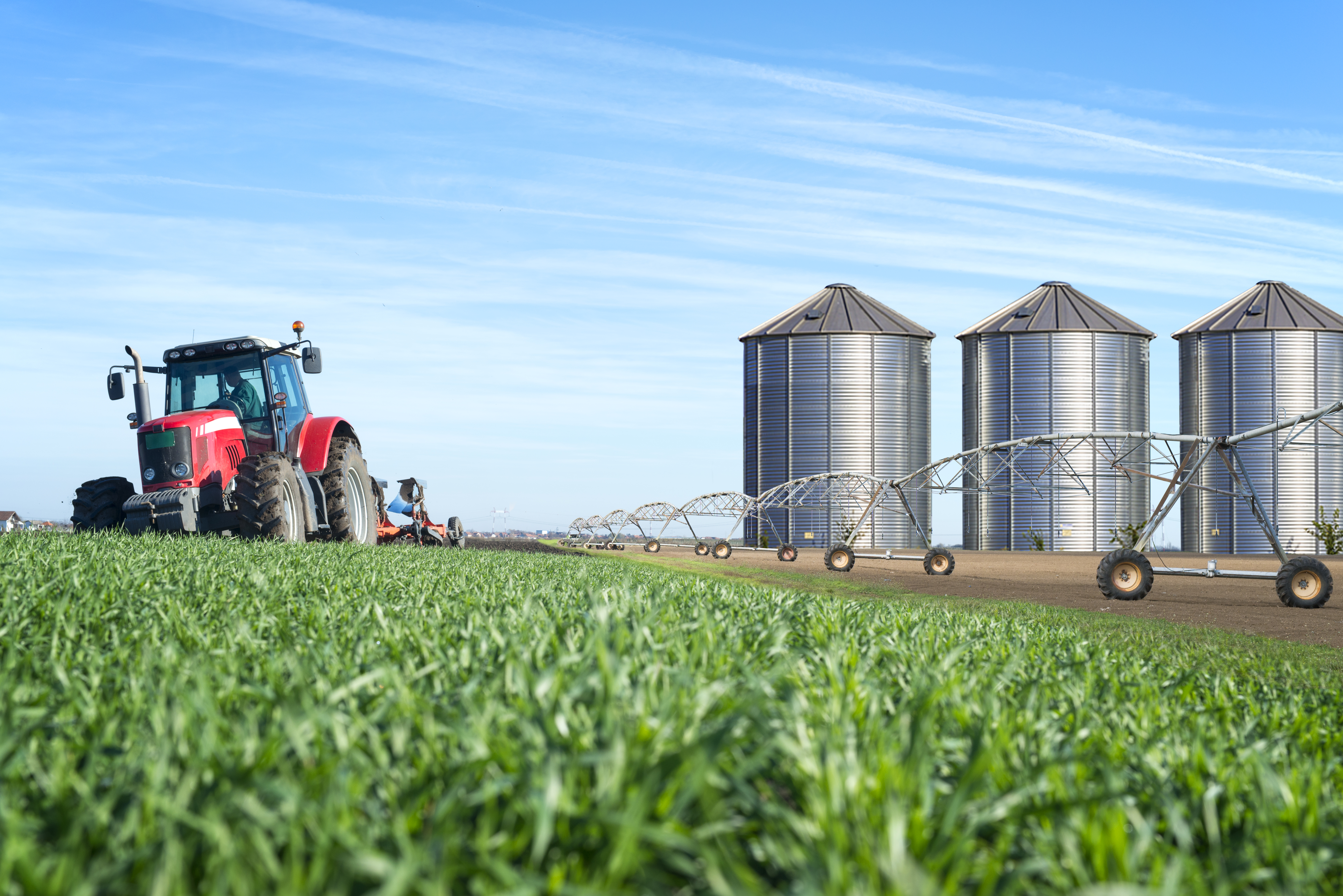 Algae-Based Biofuels: The Next Generation of Clean Energy