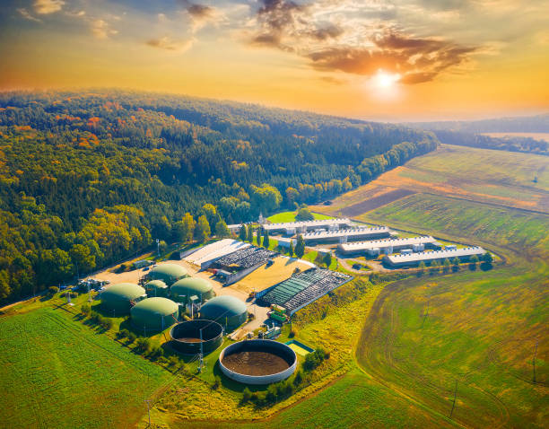 Environmental Sustainability