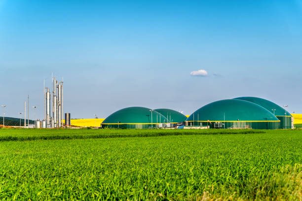 Bio-Fuel Production